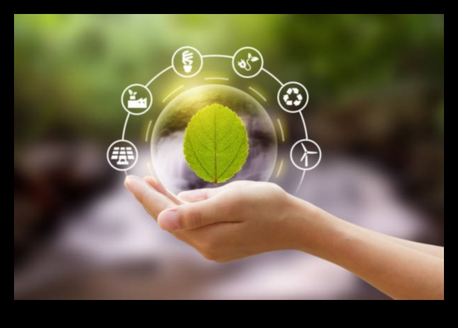 Етика в бизнеса Ръководство за устойчиви практики 5 Стратегии за устойчива етика: Мъдрост в бизнес поведението