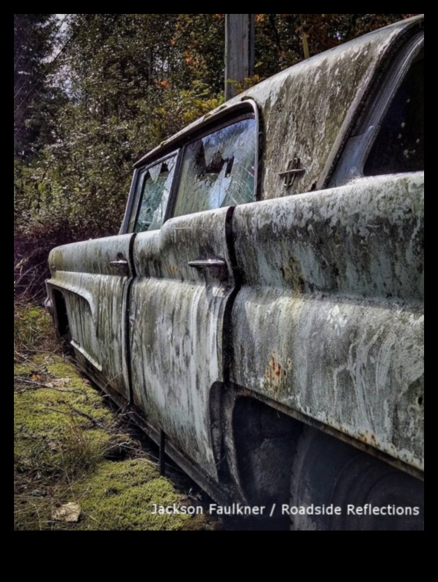 Крайпътни размисли: Неразказаните истории на търговския транспорт