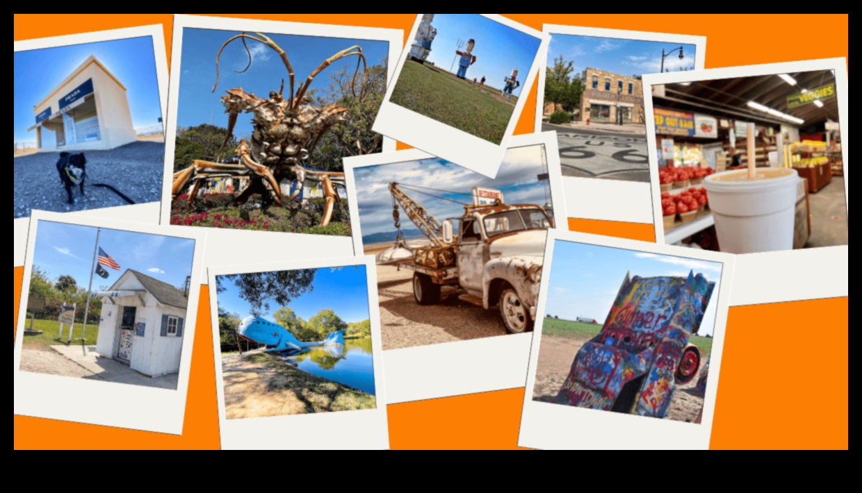 Крайпътни размисли: Историите, които се разгръщат по време на пътуването на търговския транспорт