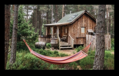 Дървообработване за дивата природа: Създаване на домове за същества на открито