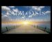 Calm Oasis Всеки ден информация за медитация за съкращаване според стреса
