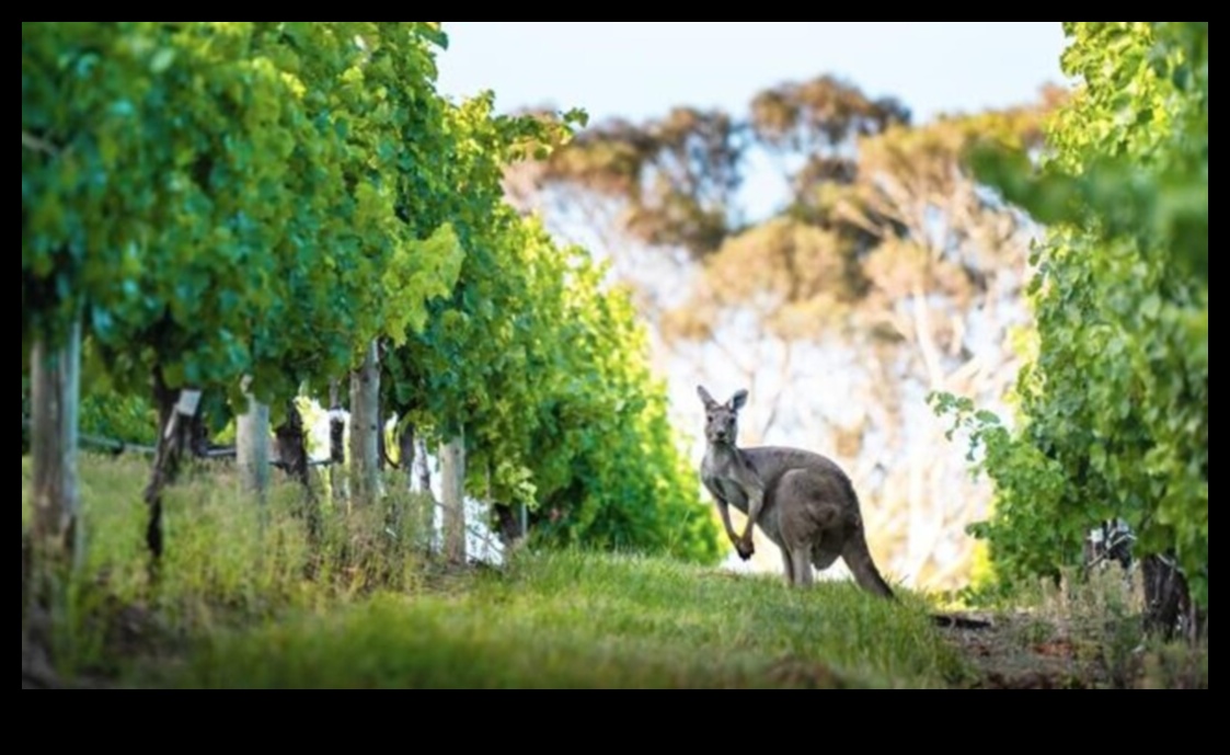 Градско сафари: Изследване на дивата природа в градска мода