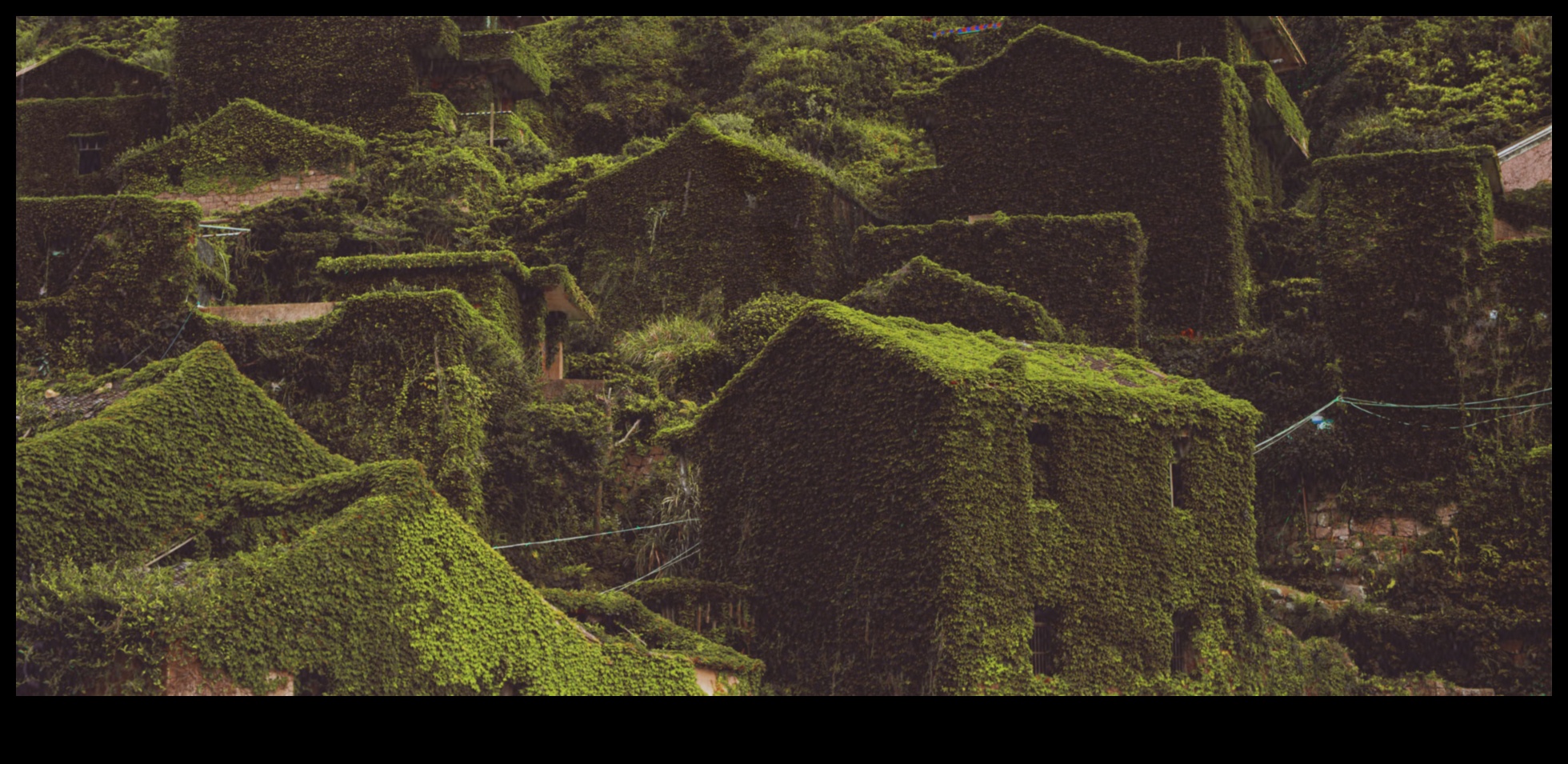 Дървообработване за дивата природа: Създаване на домове за същества на открито