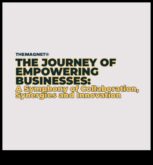 Консултантската симфония, оркестрираща разширяване и визия за по-добро вследствие на